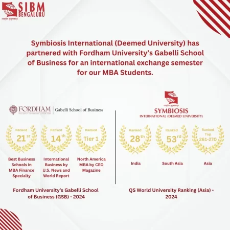 internationalization sibm