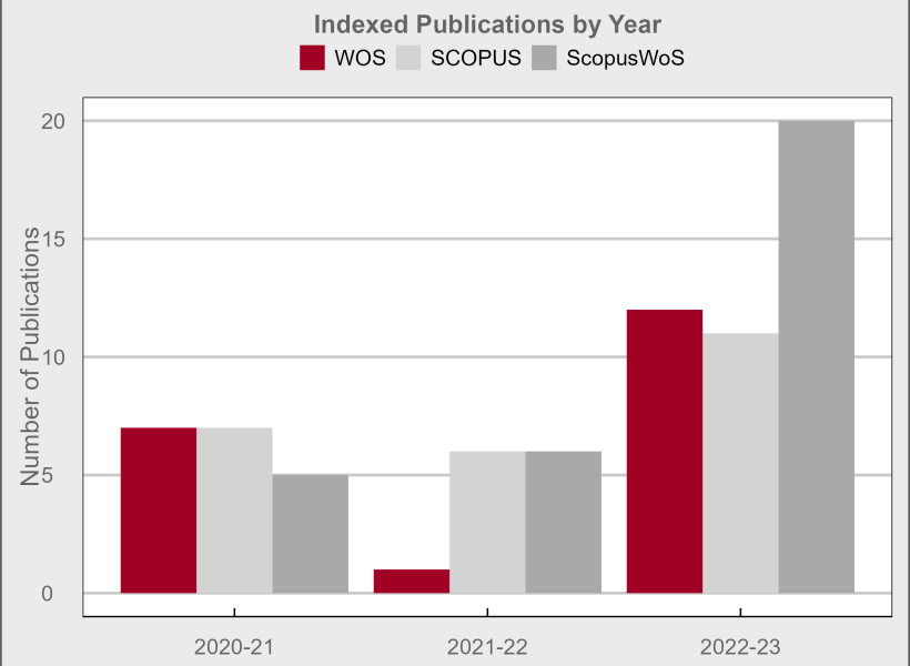 indexed publication by year
